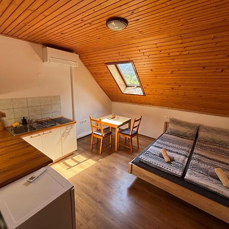 Hisa Patricija Apartment Soča Екстериор снимка