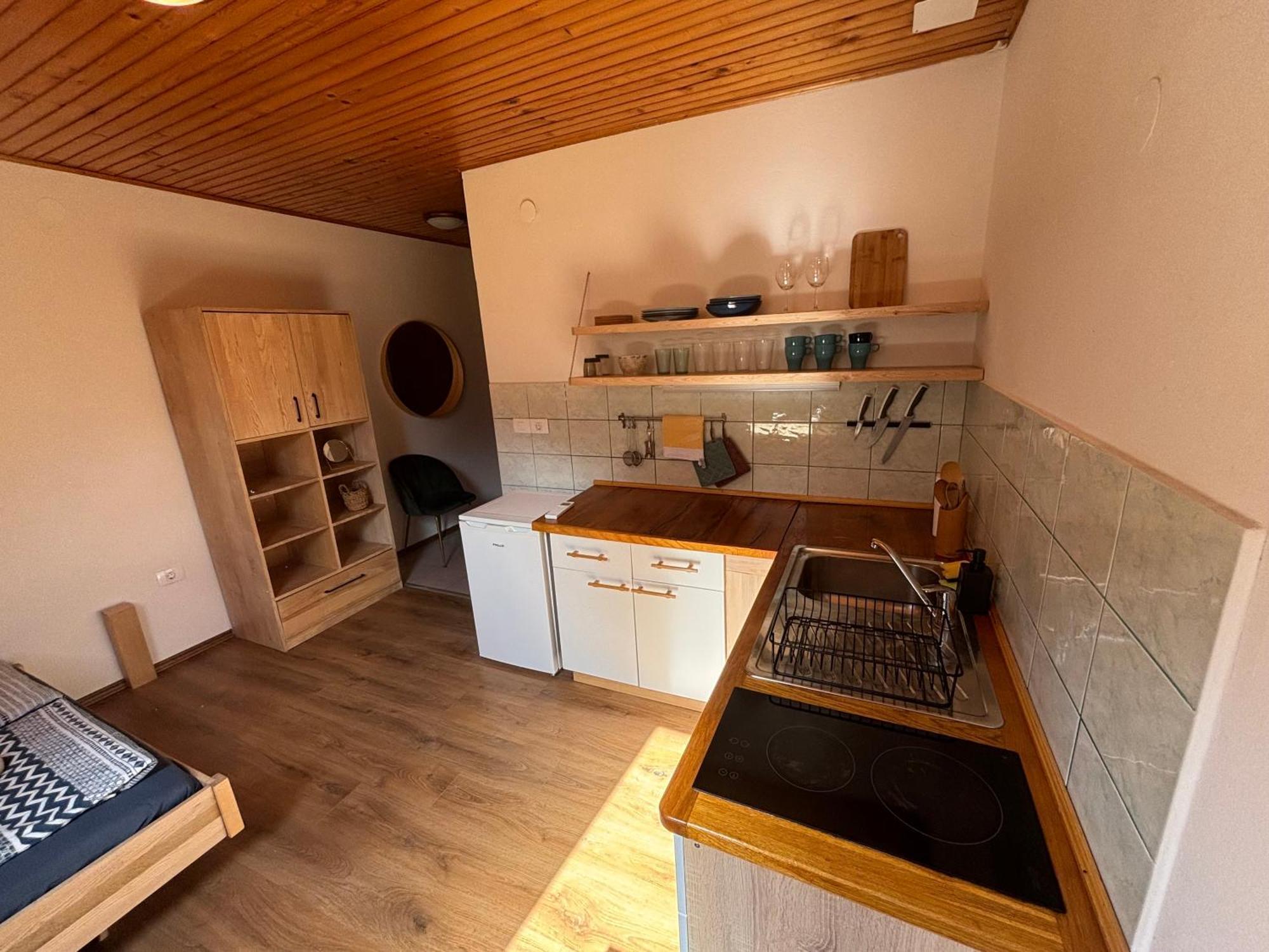Hisa Patricija Apartment Soča Екстериор снимка
